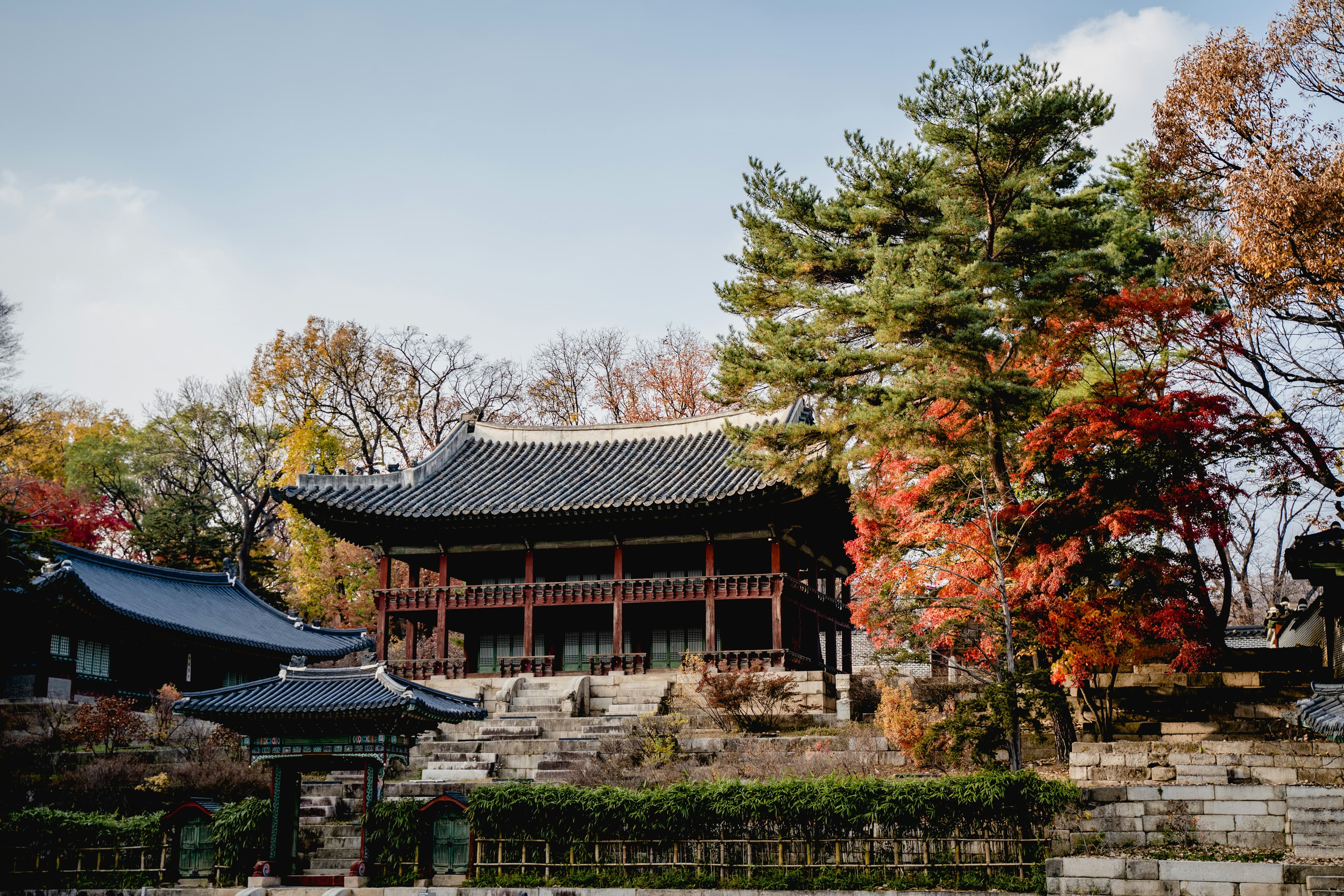 Korea in Gold — Tailor-Made & Luxury Bespoke